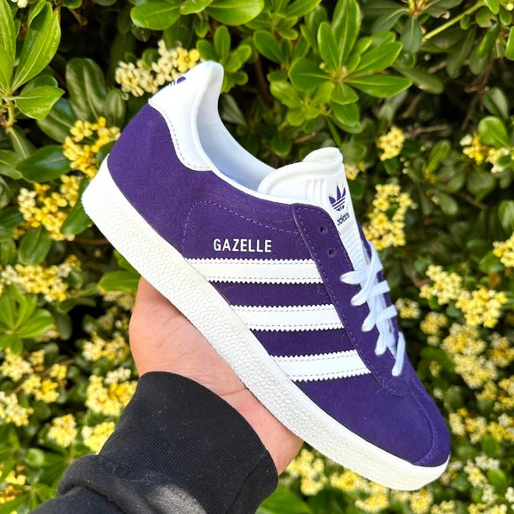 gazelle rich purple